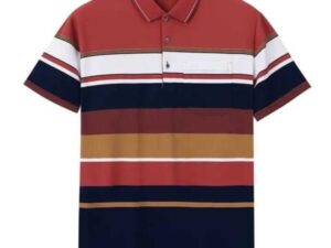 Men's Multi-Color Striped Polo Shirt - Image 1