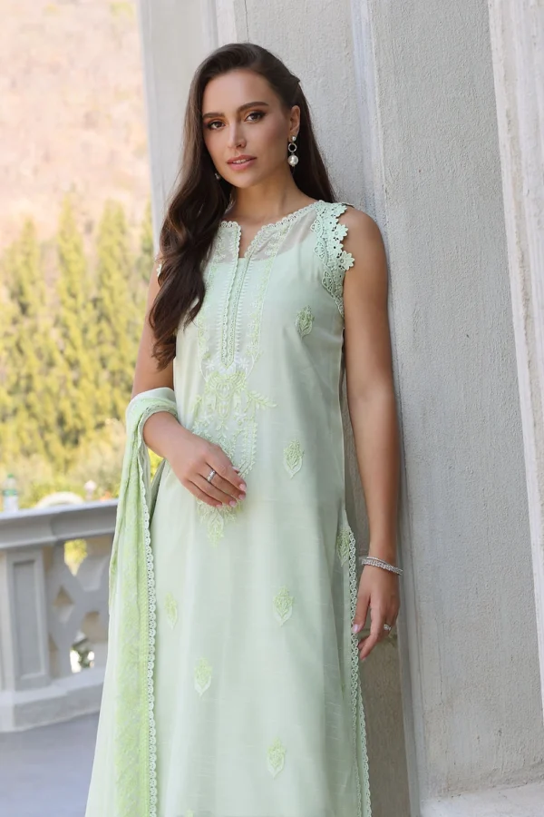 emb-chiffon-dupatta-emb-paper-cotton-back-pm-52030_6_